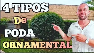 Como Podar / Veja 4 Tipos de Topiaria