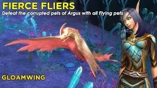 Gloamwing - Flying team