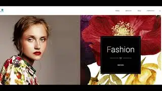 Magic Designs - Website and SEO Agency London