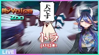 00:00~ これは猫の画像です【 My Voice Zoo #Vtuber  /カフワ・フラウラテ 】