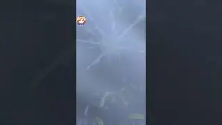 Sinoalice GranColo Last Preliminaries