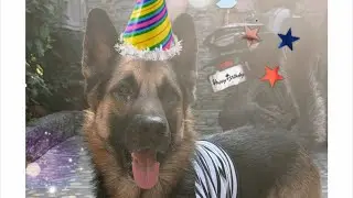 Maxu Ka Birthday wala Subh Din  🍰🎁🥳🎂