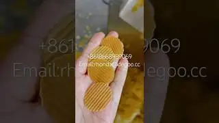 Corn based snack pellet chips fryums extrusion machine 2d ready to fry corn chips production line