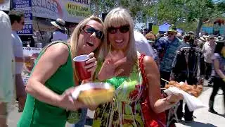 Gator by The Bay 2018