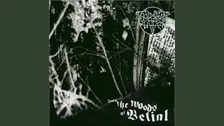 Into the Woods of Belial