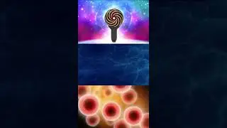 The Science Behind Qi Coil PEMF and Sleep