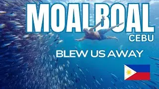 Moalboal Cebu 🇵🇭 | Swimming With MILLIONS of Sardines & Sea Turtles