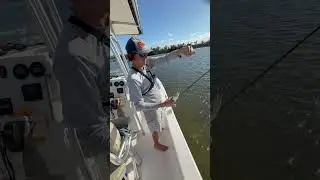 Surprise, it&rsquo;s a barracuda&hellip; inshore!