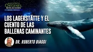 Nuestros Orígenes... Revelaciones | NOR 11 - 24 de ENERO | UMtv en vivo