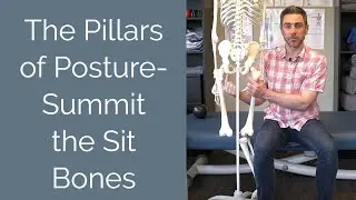 How to Sit for Optimal Posture- Finding Your Sit Bones