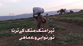 Tera mattak mattak k turna Tor nawabi we mahi