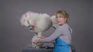 Add Volume & Bounce to Dog's Coat: Chris Christensen Lift for Sure