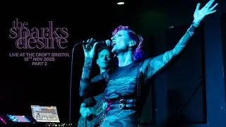 Live performance using Boss VE 22, Ableton Live , Vocals, Guitars, Folktronica