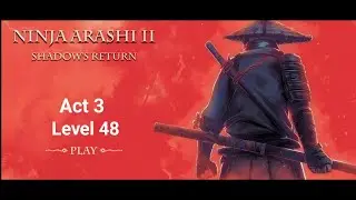Ninja Arashi 2 Shadows Return Act 3 level 48
