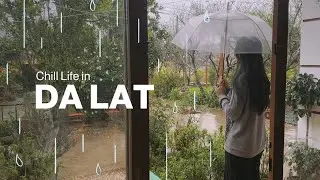 chill life in dalat | một ngày mưa chill 🌧️ đọc sách, hotteok nóng hổi, pha matcha và (lười biếng)