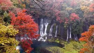Shiraito Waterfall in Autumn