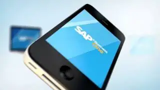 SAP Business One in 60 seconds | Vision33