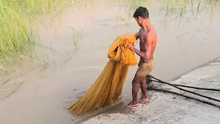 नदी में बाढ़ आने के बाद चढ़ने वाली मछलियों को किस प्रकार से पकड़ा जाता है #fishhunting2 #fishing