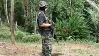 Warior Of Detachment Turtle Shield 2.avi
