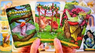 THE PERSON YOU&rsquo;RE WAITING ON IS ABOUT TO SURPRISE YOU!! WATCH TO THE END!! ❤️ ALL SIGNS TAROT