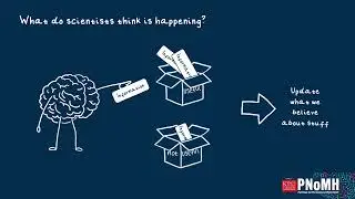 Cannabis Psychosis and Video Games: Video Lay Summary