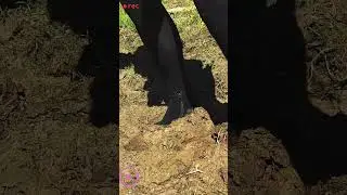 Watch Full 👆🏻
