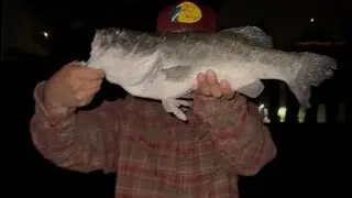 My biggest bass, catfish, and carp catches compilation!!!!!