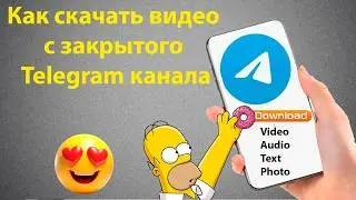 Как Скачать Защищённое Видео из Telegram Канала если стоит защита от копирования