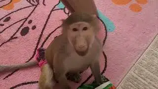 Развлекаемся как можем 🤣