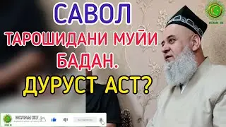ХОЧИ МИРЗО 2020 ТАРОШИДАНИ МУӢИ БАДАН.