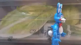 Toy Bonnie vs The elf on the shelf 