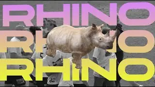 RHINO SEASON HIGHLIGHTS 2021