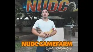 NUDC WATTAMOVE BULIK