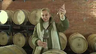 10 minuta: Razvoj vinskog turizma u Lapovu zahvaljujući vinariji Đorđević Estejt