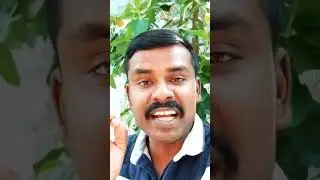 1000 Subscribers and 4000 watch hours with in 15 days only #youtubeinfluencer #youtubesecrets