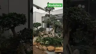 #officelife #gurugram  #workplace #shorts #beautiful