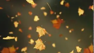 Falling Autumn Leaves Background loop 2 Read Desc