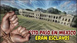 Encontramos un TESORO ESCONDIDO en una HACIENDA de Yucatán! ¿Qué Secretos Revelan Estas Monedas?