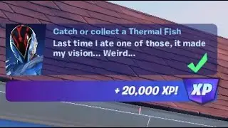 Catch or collect a Thermal Fish - Fortnite