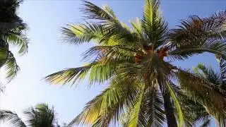 Summer Vacation Quotes, Enjoy it...