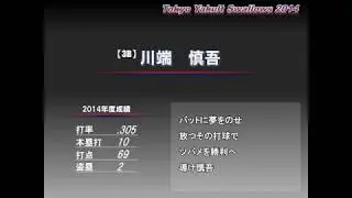東京ヤクルトスワローズ1-9【2014年】