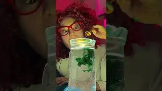 Let&rsquo;s Try a Turmeric Experiment 🧪✨ Kids Fun