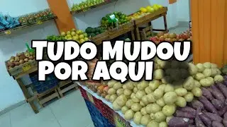 ATUALIZANDO VOCÊS COMO ESTÁ O HORTI FRUTI 😀