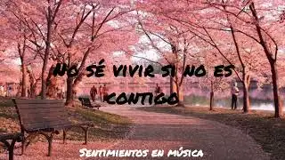 Sin ti Mariah Carey (Letra// lyrics)