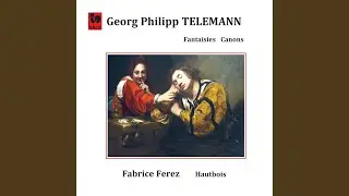 Canonic Sonata No. 1 in G Major, TWV 40:118: III. Allegro