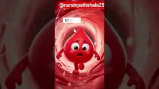 BP क्यों बढ़ता है? | High Blood Pressure के कारण और कंट्रोल करने के तरीके