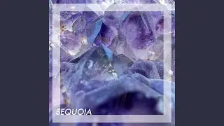 Sequoia