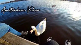 Chillin&rsquo; in Dam Square & Oosterdok with MsSativaDiva | Amsterdam 2021
