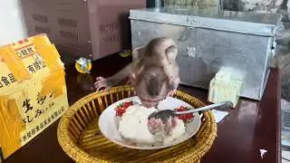 Mary eat pao