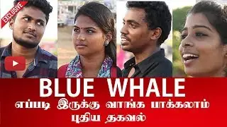 Youth Speaks About Blue Whale Game | Viral Video | TAMILGOSSIPS